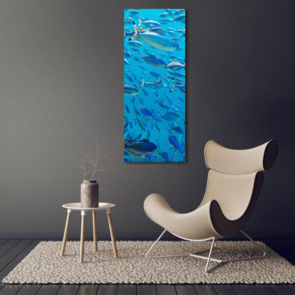 Tableau sur toile Poisson corail