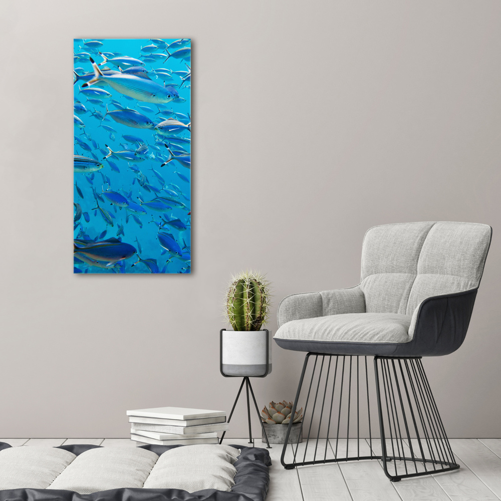 Tableau sur toile Poisson corail