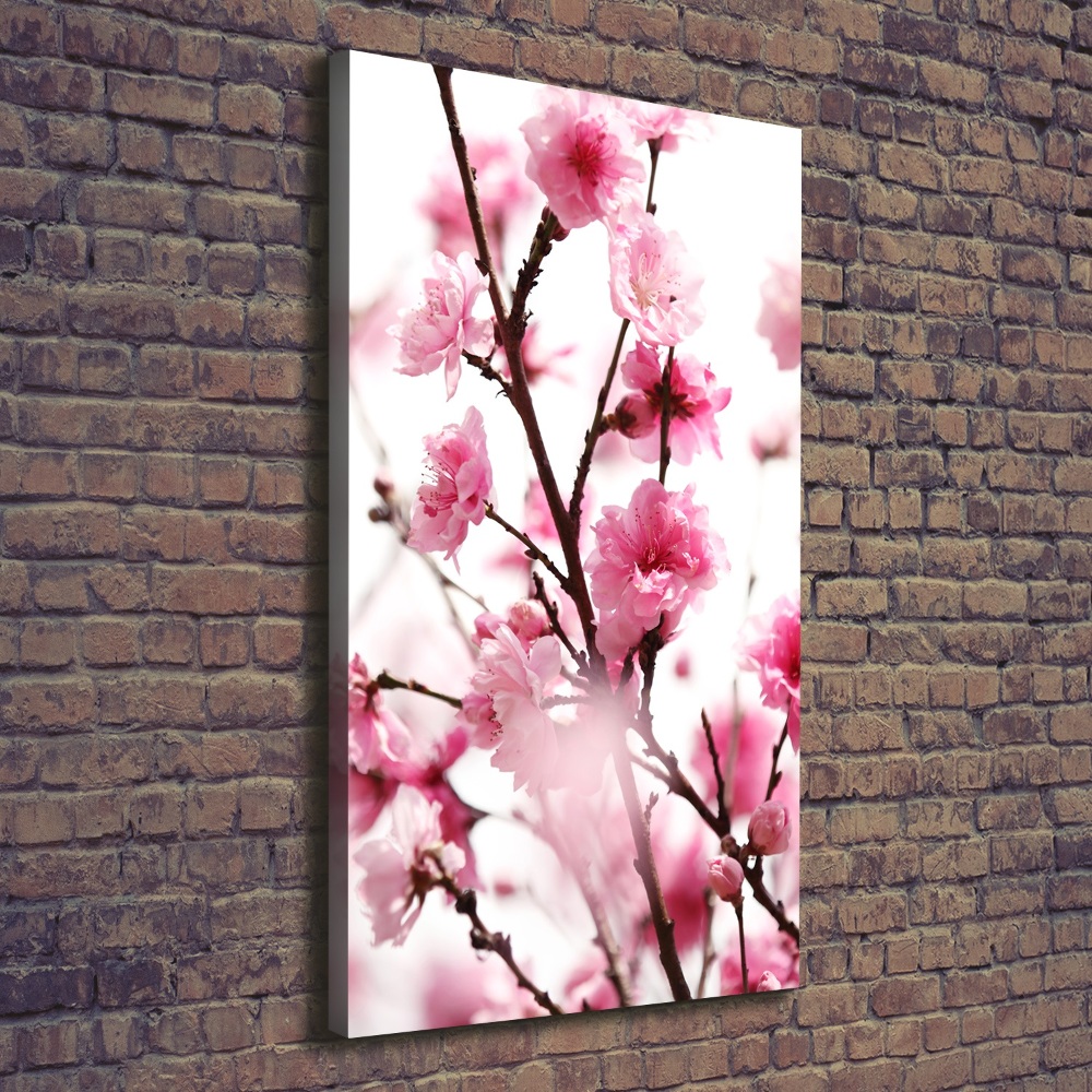 Tableau imprimé sur toile Fleurs de prunier