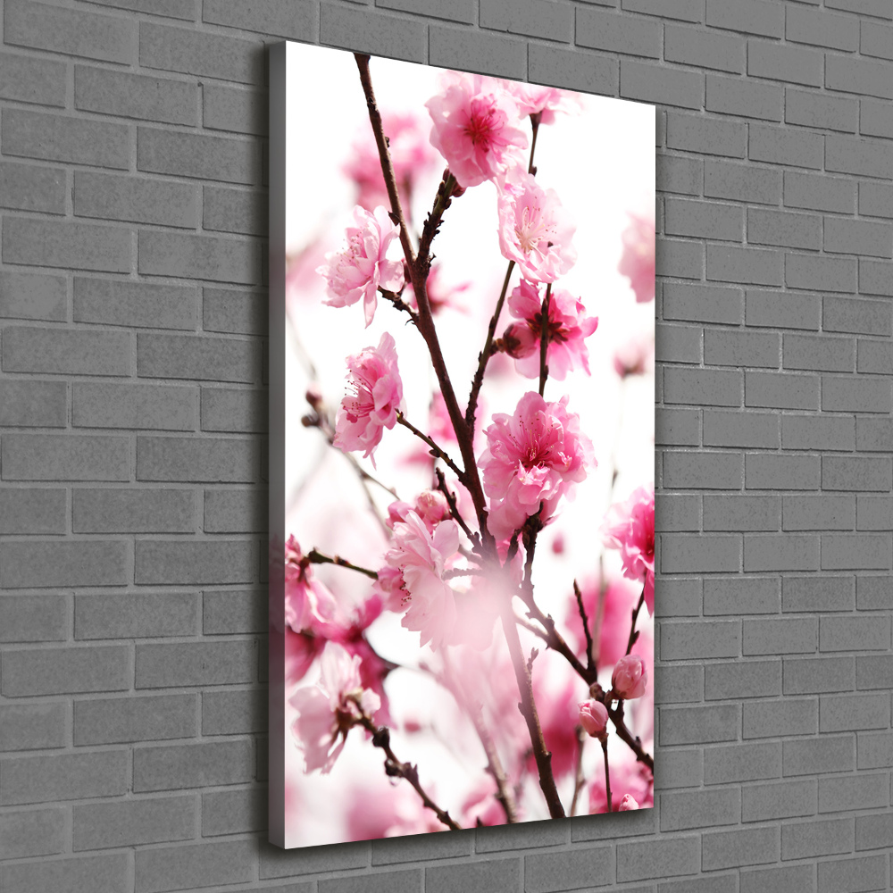 Tableau imprimé sur toile Fleurs de prunier