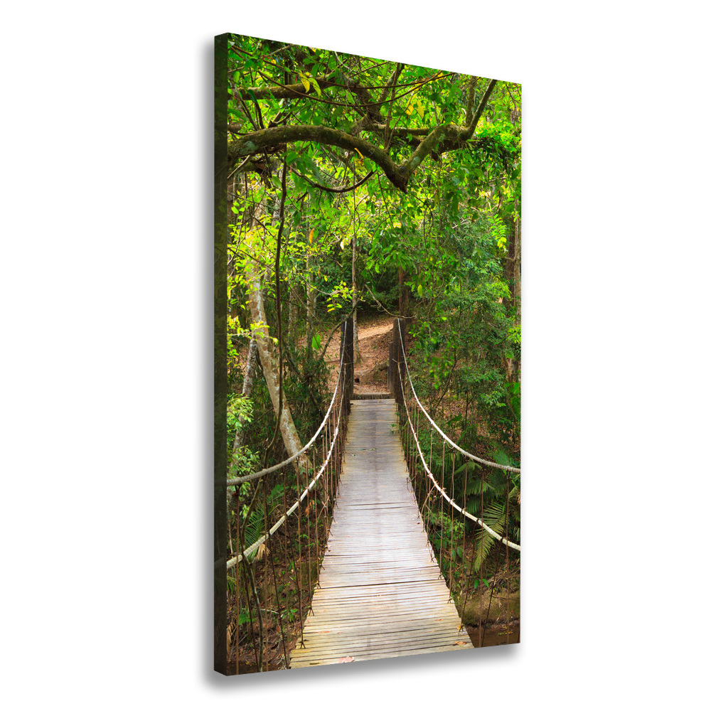 Tableau imprimé sur toile Pont suspendu dans la forêt