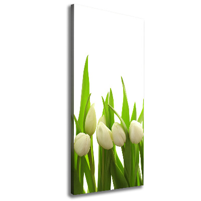 Tableau sur toile Tulipes blanches