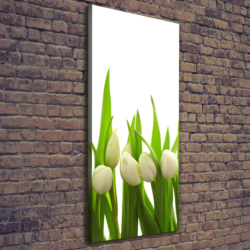 Tableau sur toile Tulipes blanches