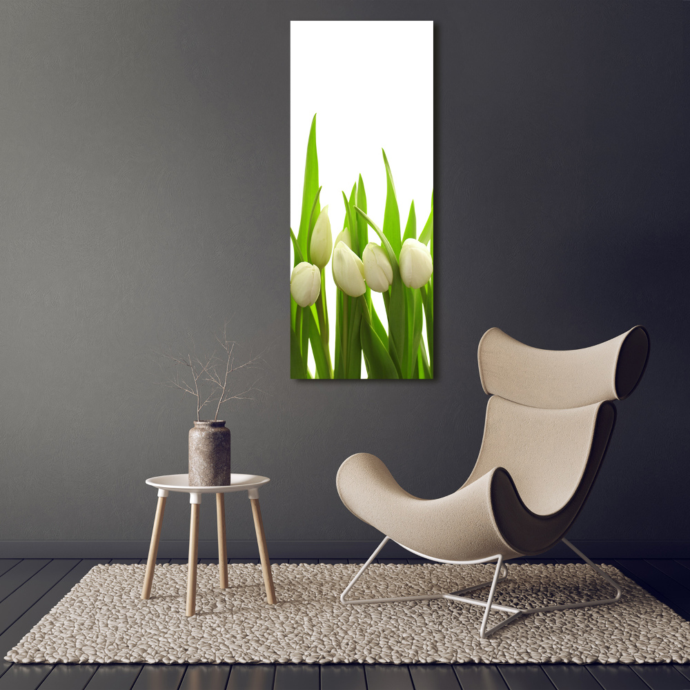 Tableau sur toile Tulipes blanches