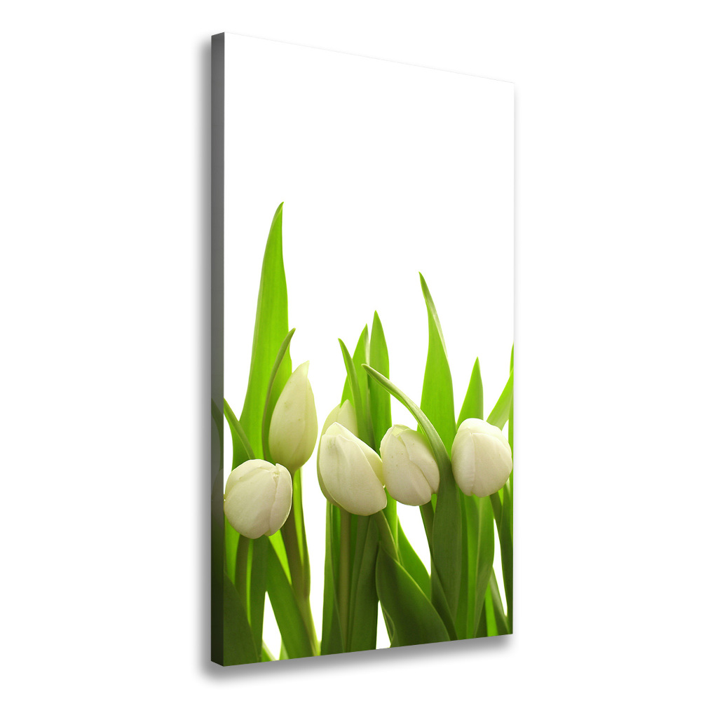 Tableau sur toile Tulipes blanches