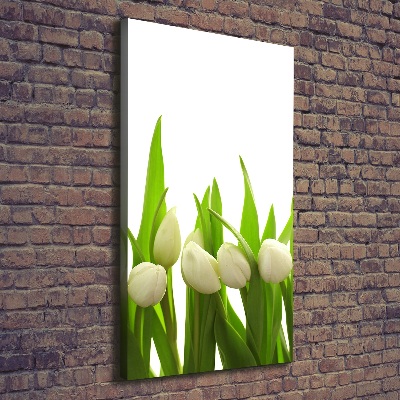 Tableau sur toile Tulipes blanches