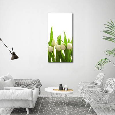 Tableau sur toile Tulipes blanches