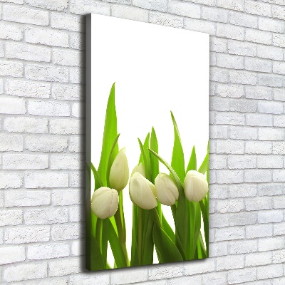 Tableau sur toile Tulipes blanches