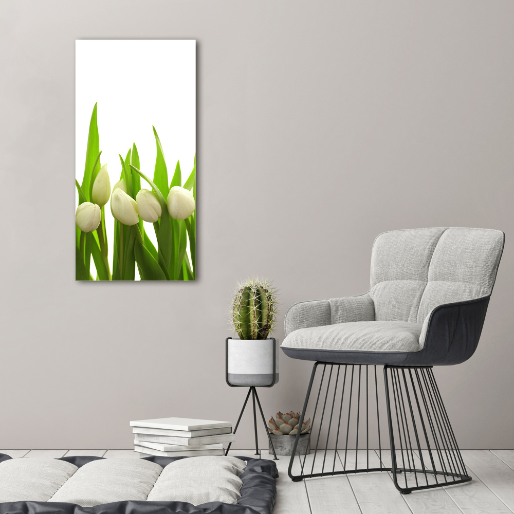 Tableau sur toile Tulipes blanches