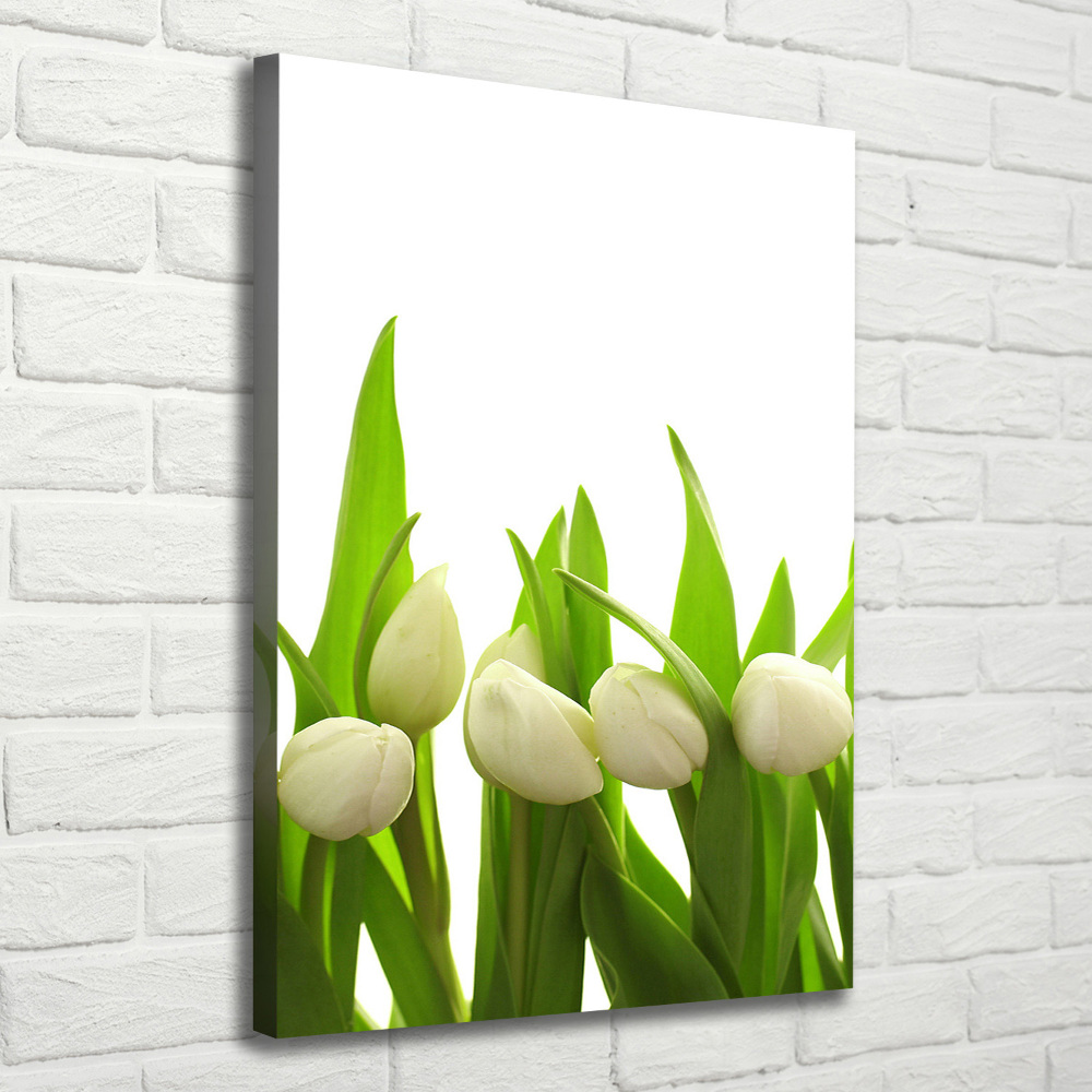 Tableau sur toile Tulipes blanches