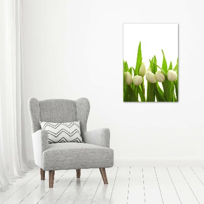 Tableau sur toile Tulipes blanches