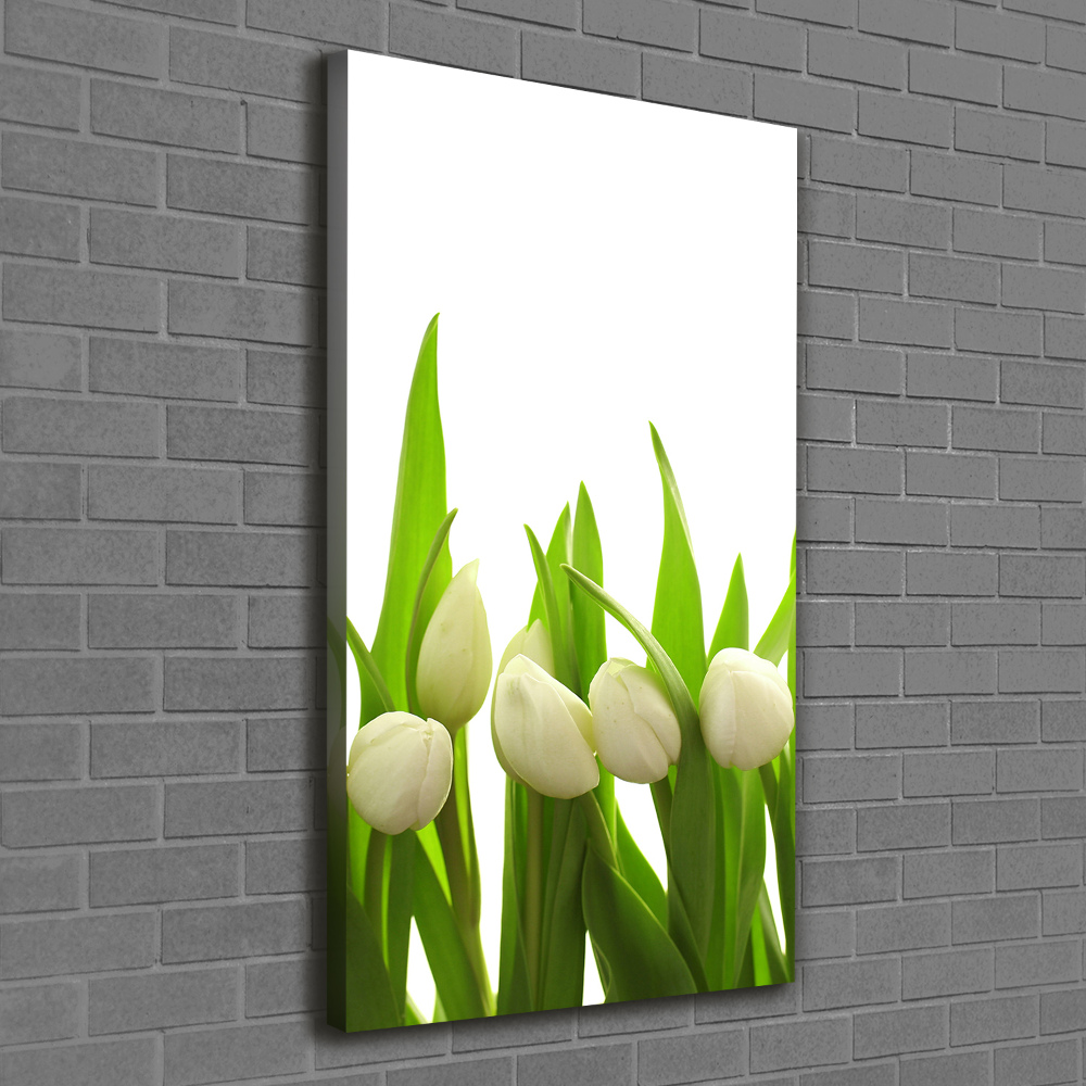 Tableau sur toile Tulipes blanches