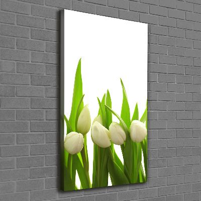 Tableau sur toile Tulipes blanches