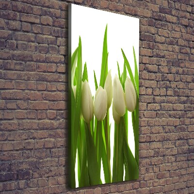 Tableau photo sur toile Tulipes blanches