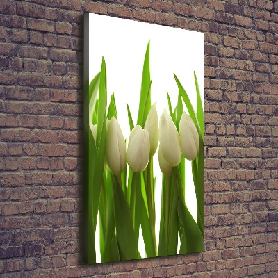 Tableau photo sur toile Tulipes blanches