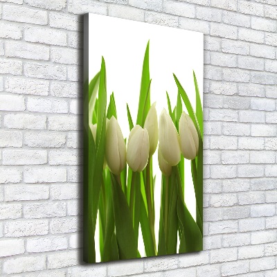 Tableau photo sur toile Tulipes blanches