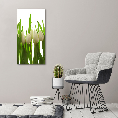 Tableau photo sur toile Tulipes blanches