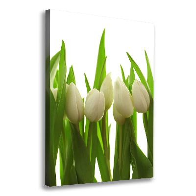 Tableau photo sur toile Tulipes blanches