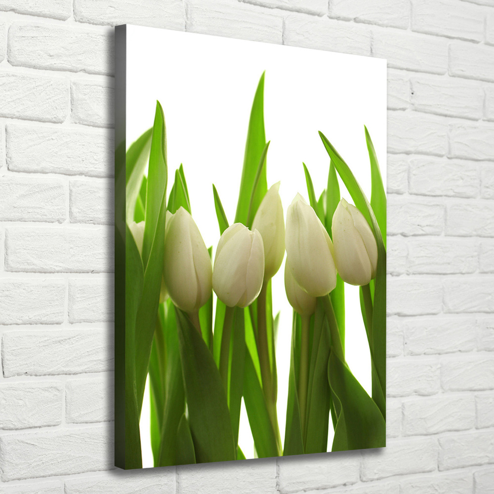 Tableau photo sur toile Tulipes blanches