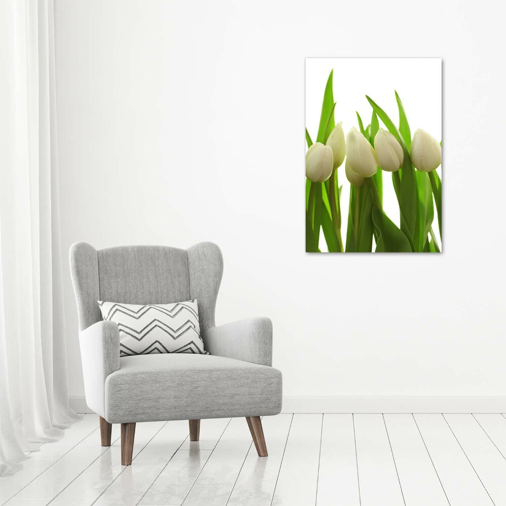 Tableau photo sur toile Tulipes blanches