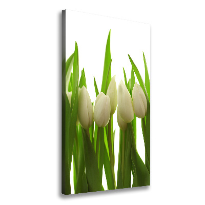 Tableau photo sur toile Tulipes blanches