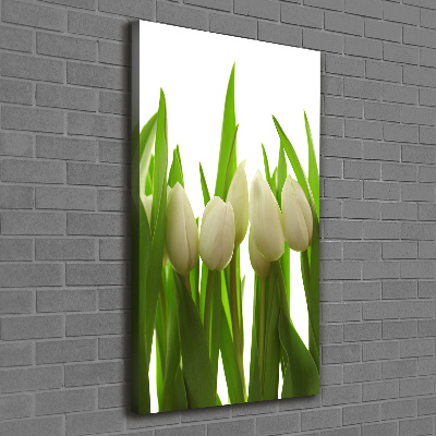 Tableau photo sur toile Tulipes blanches