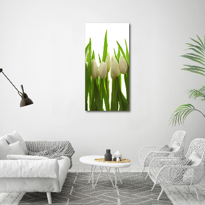 Tableau photo sur toile Tulipes blanches