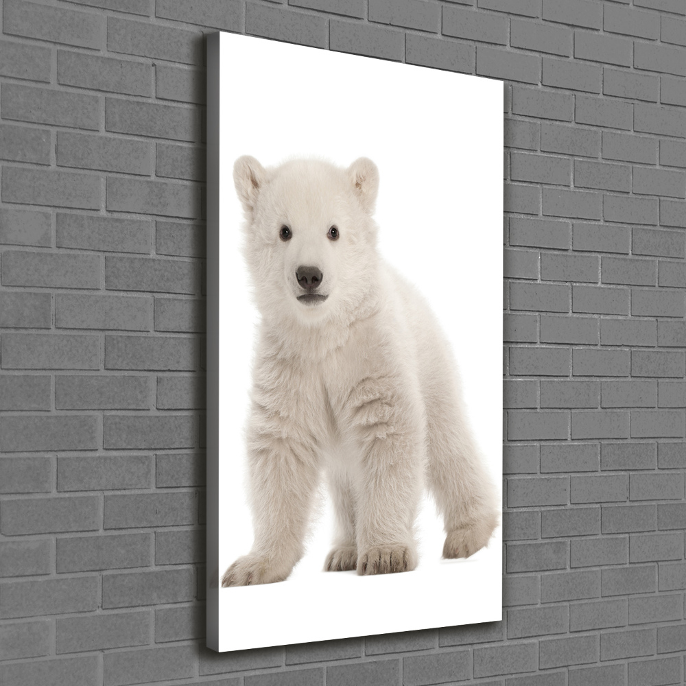 Tableau mural sur toile Ours polaire