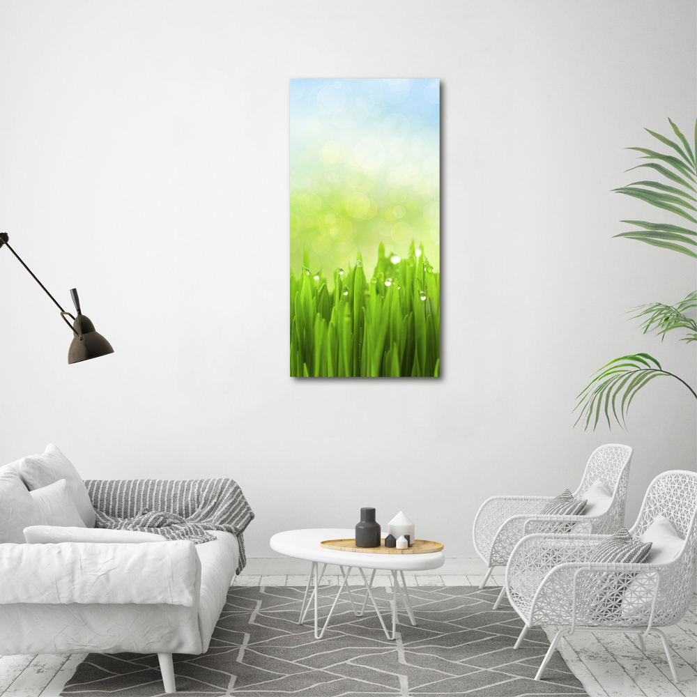 Tableau sur toile Herbe