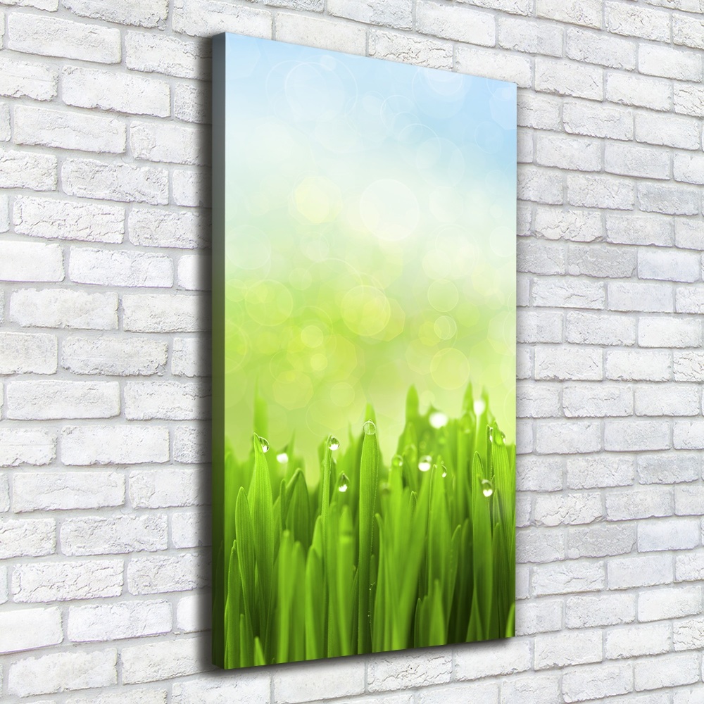 Tableau sur toile Herbe