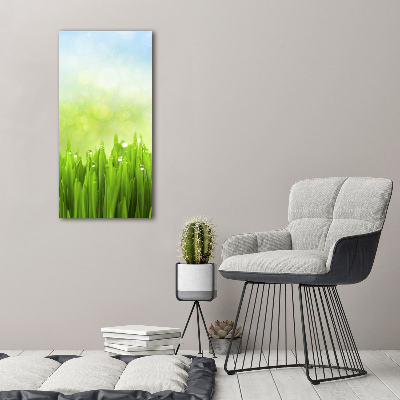 Tableau sur toile Herbe