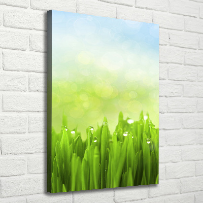 Tableau sur toile Herbe