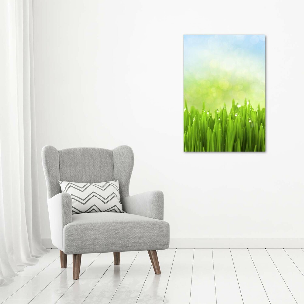 Tableau sur toile Herbe