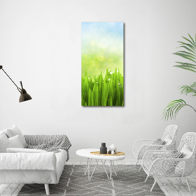 Tableau sur toile Herbe