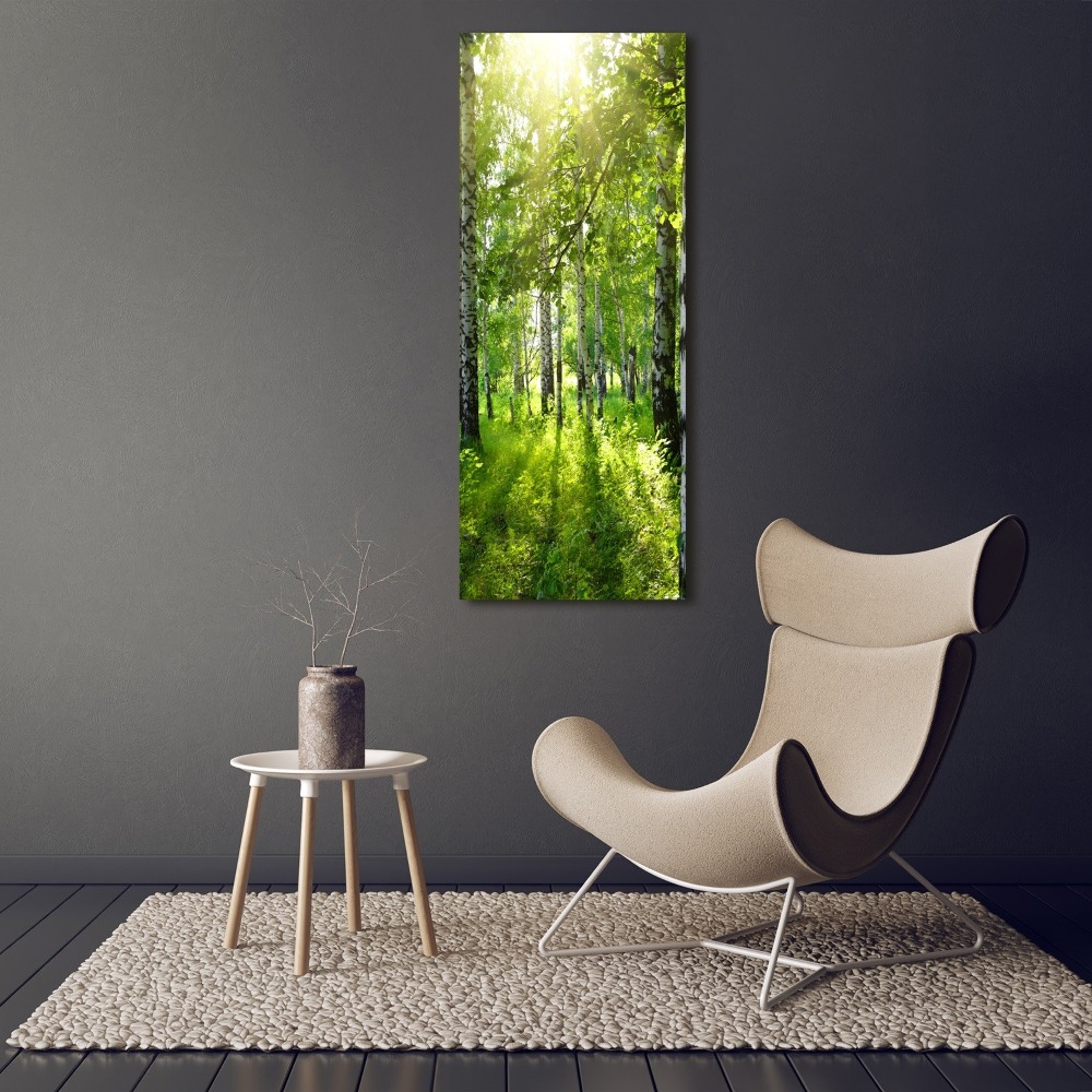 Tableau photo sur toile Forêt bouleau