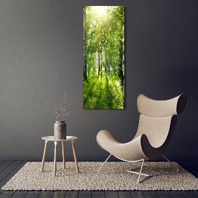 Tableau photo sur toile Forêt bouleau