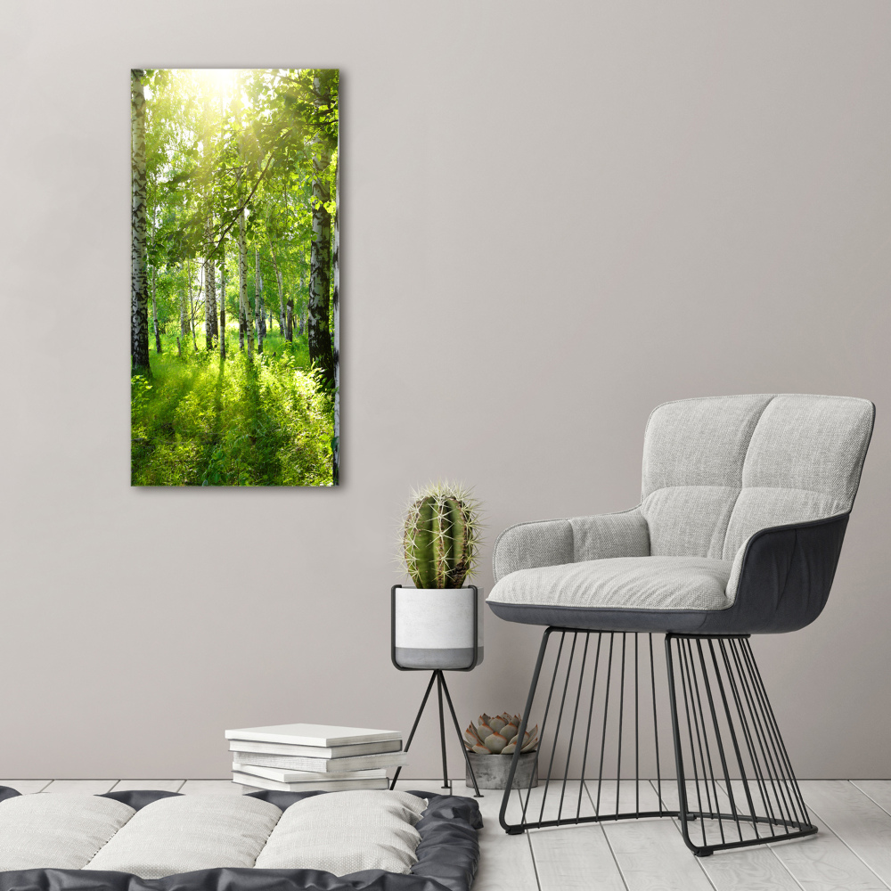 Tableau photo sur toile Forêt bouleau