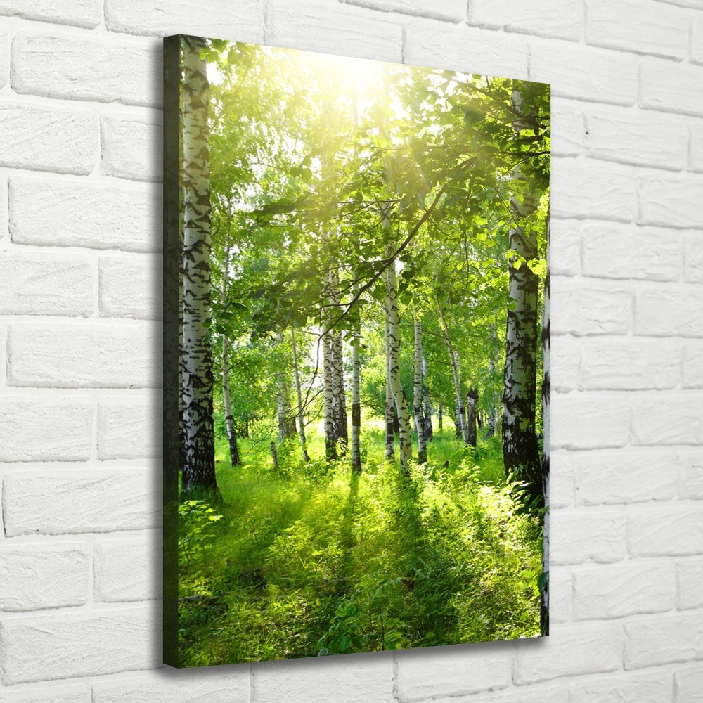 Tableau photo sur toile Forêt bouleau