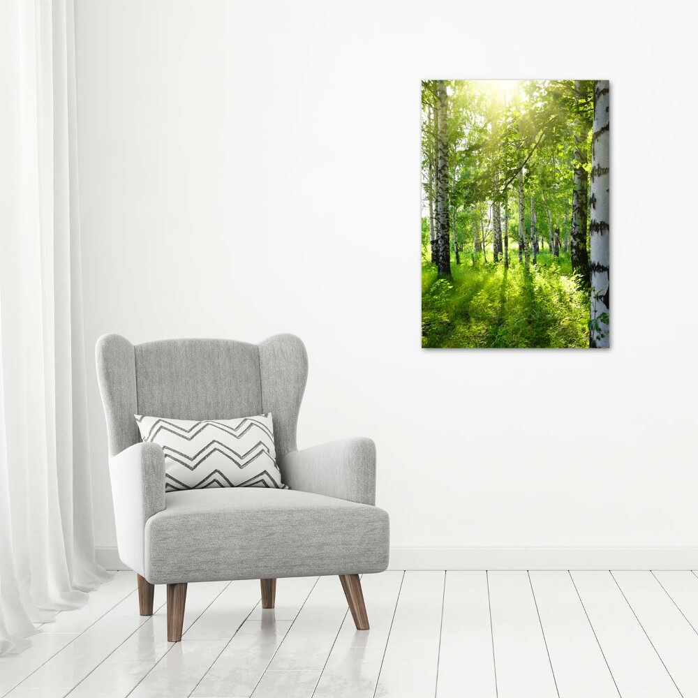 Tableau photo sur toile Forêt bouleau