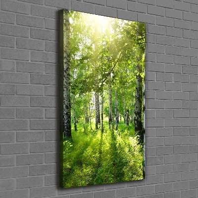 Tableau photo sur toile Forêt bouleau