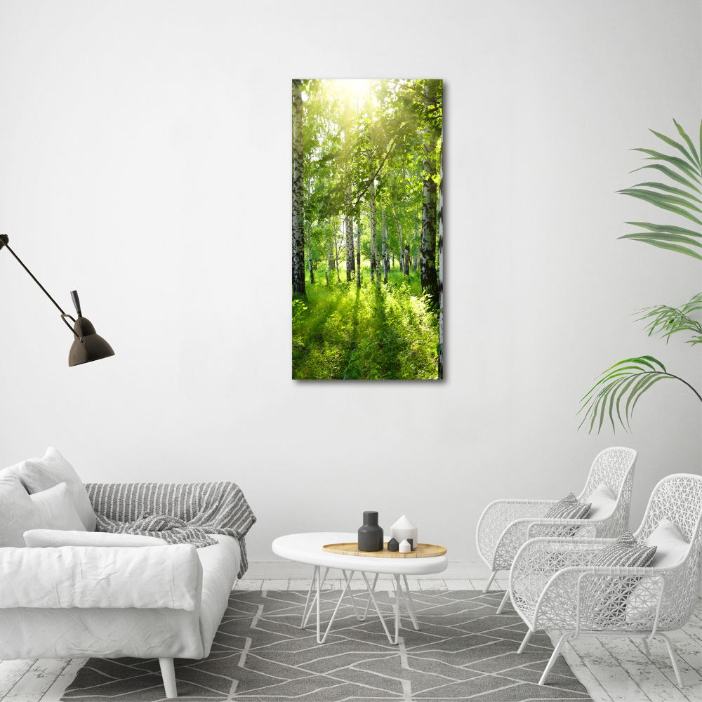 Tableau photo sur toile Forêt bouleau