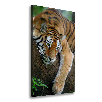 Tableau sur toile Tigre dans un arbre