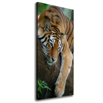 Tableau sur toile Tigre dans un arbre