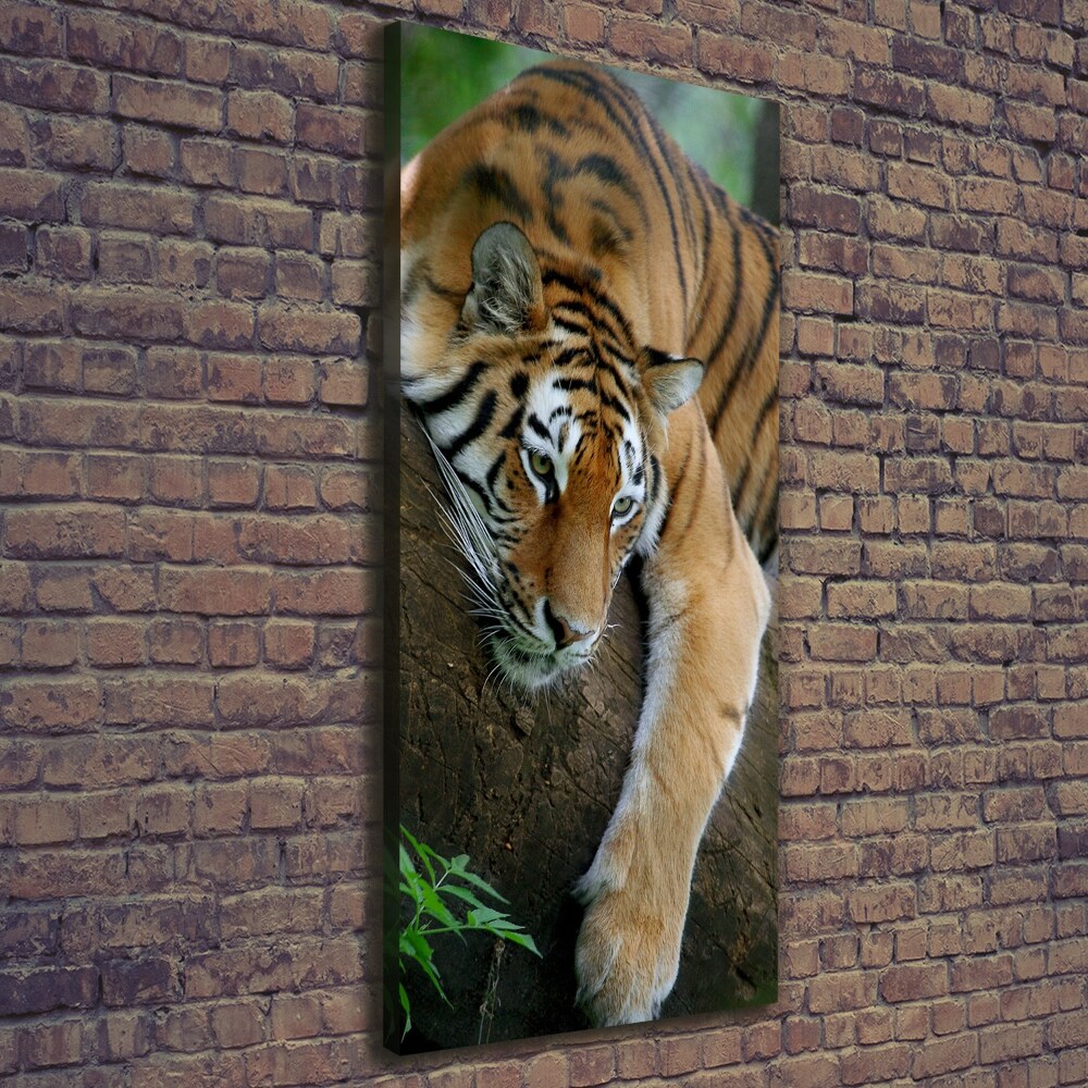 Tableau sur toile Tigre dans un arbre