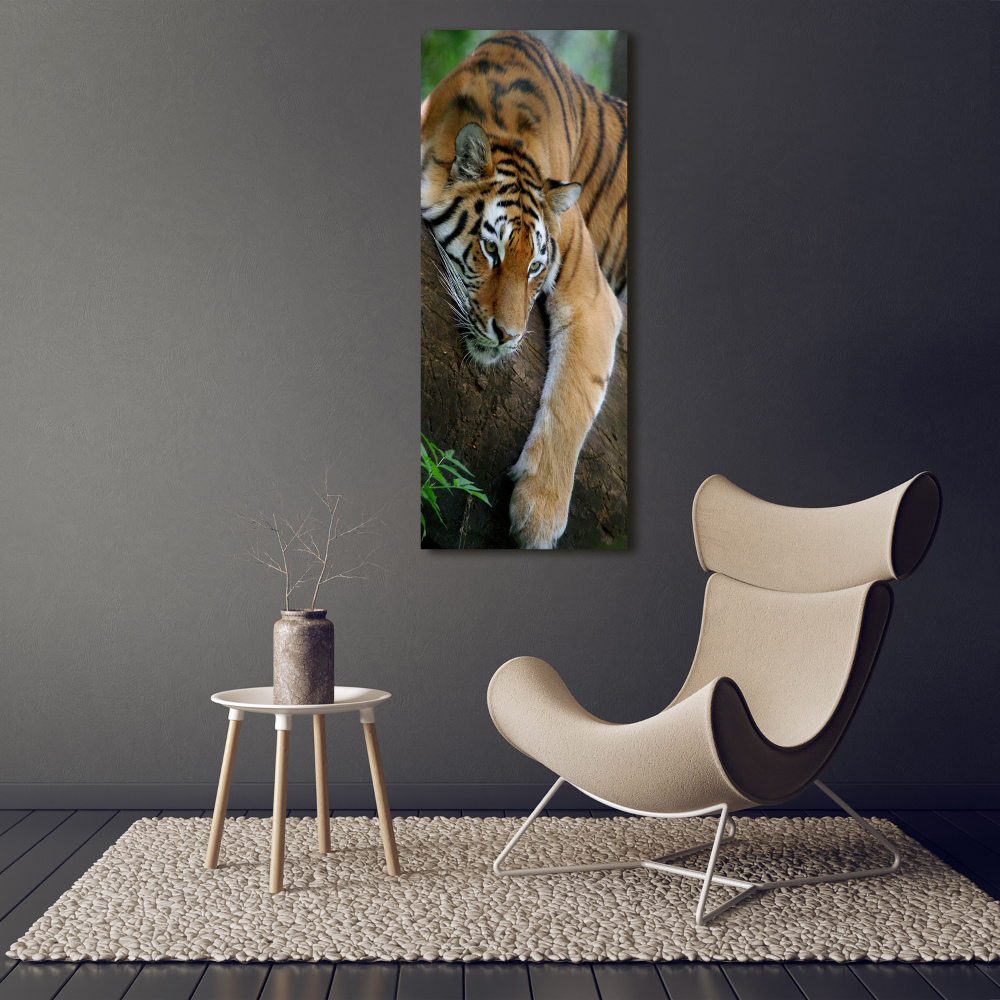 Tableau sur toile Tigre dans un arbre