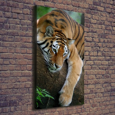 Tableau sur toile Tigre dans un arbre