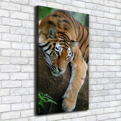 Tableau sur toile Tigre dans un arbre