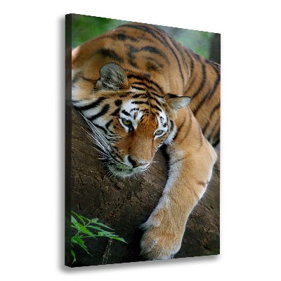 Tableau sur toile Tigre dans un arbre