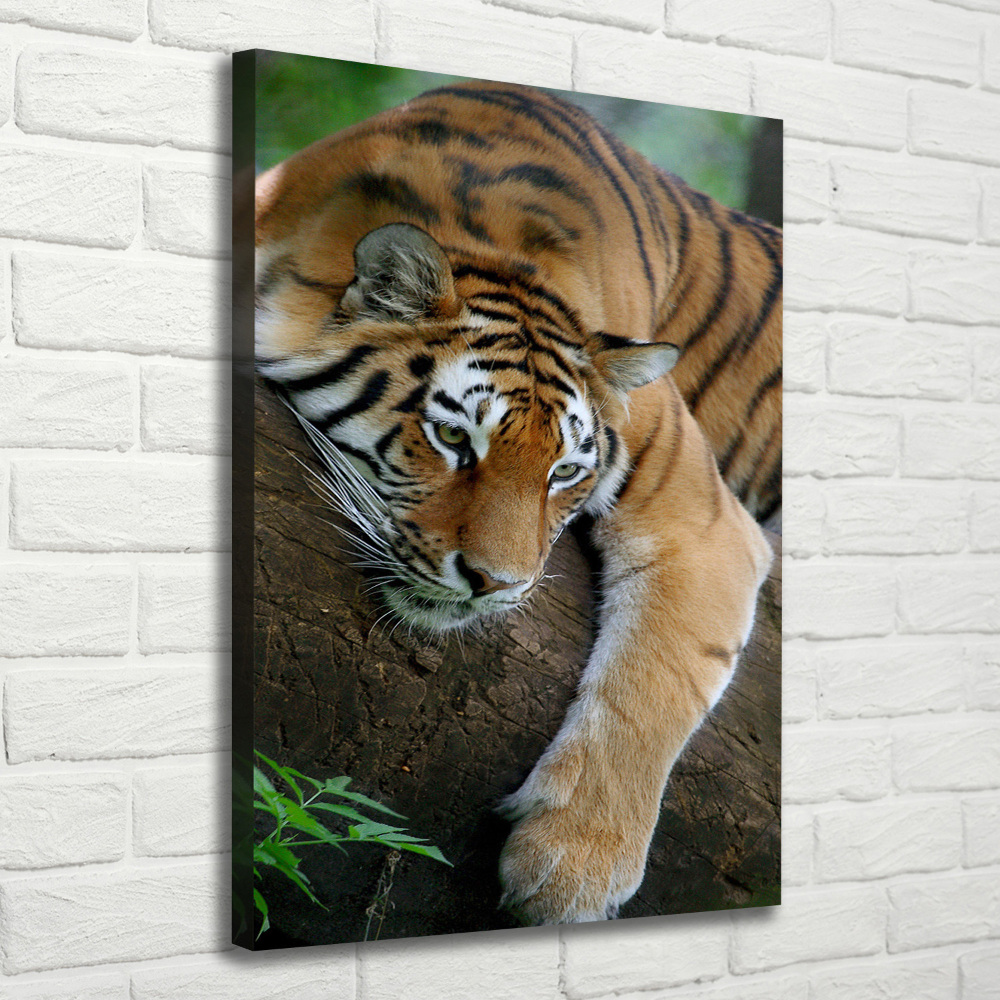 Tableau sur toile Tigre dans un arbre