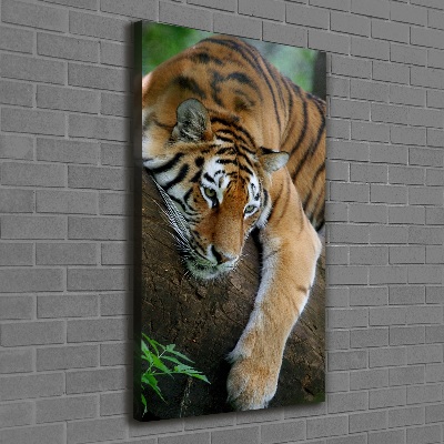 Tableau sur toile Tigre dans un arbre